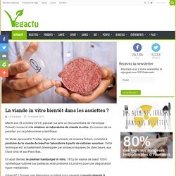 La viande in vitro bientôt dans les assiettes ? – Vegactu