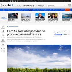 Sera-t-il bientôt impossible de produire du vin en France ?