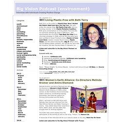 Big Vision Podcast