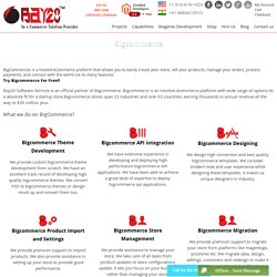 A Quality Provider of Bigcommerce Development, Bigcommerce Customization Service