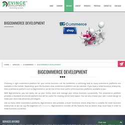 BigCommerce Development-BigCommerce Web Design- BigCommerce Developers