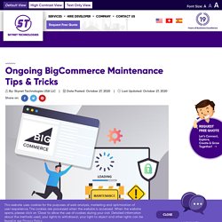 BigCommerce store Maintenance Tips & Tricks - Skynet Technologies USA LLC