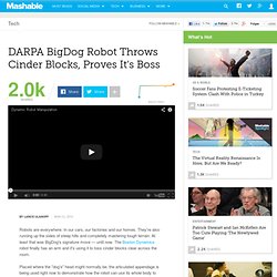 DARPA BigDog Robot Throws Cinder Blocks, Proves It's Boss