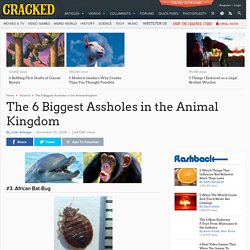 The 6 Biggest Assholes in the Animal Kingdom