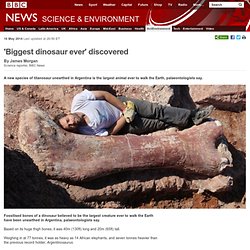 'Biggest dinosaur ever' discovered
