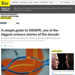 CRISPR, one of the biggest science stories of the decade, explained