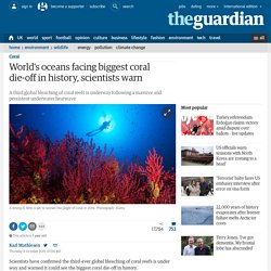 World's oceans facing biggest coral die-off in history, scientists warn