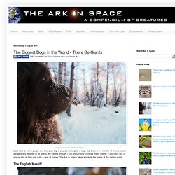 The Ark In Space: The Biggest Dogs in the World - There Be Giants