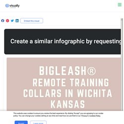 BigLeash® Remote Training Collars in Wichita Kansas