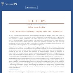 Bill Philips - Online Marketing DIY