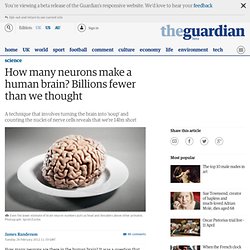How many neurons make a human brain? Billions fewer than we thought