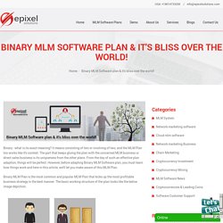 Binary MLM Software plan & it's bliss over the world!