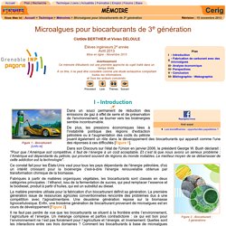 Biocarburant, algocarburant, microalgue, éthanol, biodiesel