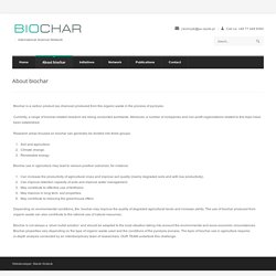 BIOCHAR – Wydział Inżynierii Produkcji i Logistyki About biochar - BIOCHAR - Wydział Inżynierii Produkcji i Logistyki
