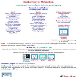 Biochem of Metabolism