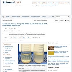Engineers develop new yeast strain to enhance biofuel and biochemical production
