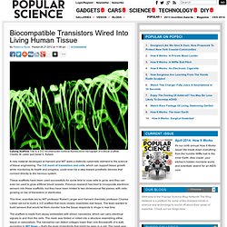 Biocompatible Transistors Wired Into Living Human Tissue