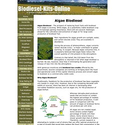Algae Biodiesel - Research is underway to convert algae to biodiesel