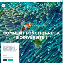 Biodiversité en danger : causes et conséquences