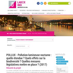 POLLUX – Pollution lumineuse nocturne : quelle étendue ? Quels effets sur la biodiversité ? Quelles mesures législatives mettre en place ? (2017)