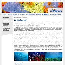 INSTITUT OCÉANOGRAPHIQUE PAUL RICARD - La biodiversité