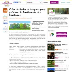 Créer des haies et bosquets pour préserver la biodiversité des territoires...