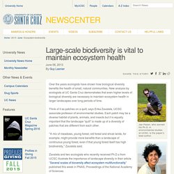 Large-scale biodiversity is vital to maintain ecosystem health