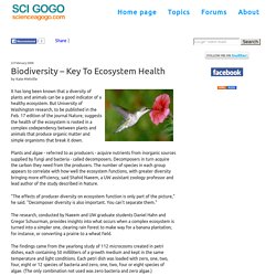 Biodiversity – Key To Ecosystem Health