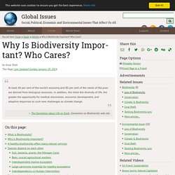 Why Is Biodiversity Important? Who Cares?