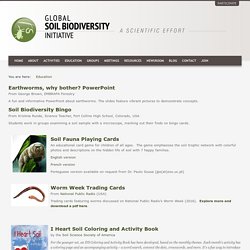 Global Soil Biodiversity Initiative