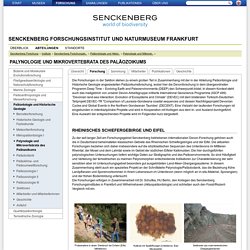 Senckenberg Forschungsin..