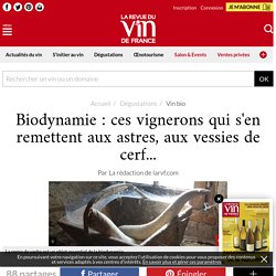 Biodynamie : ces vignerons qui s'en remettent aux astres, aux vessies de cerf...