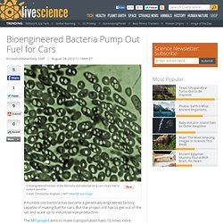 Bioengineered Bacteria Pump Out Fuel for Cars