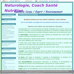 La bioépuration par les plantes. - Naturologie, Coach Santé Nutrition