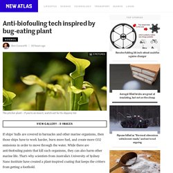 Anti-biofouling tech inspired by bug-eating plant
