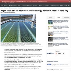 Algae biofuel can help meet world energy demand, researchers say
