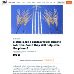 Biofuels are a controversial climate solution. Could they still help save the planet? By Emily Pontecorvo on Sep 11, 2020 at 3:59 am