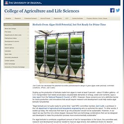 Biofuels From Algae Hold Potential, but Not Ready for Prime Time