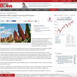 Biofuels offer sorghum new growth hopes