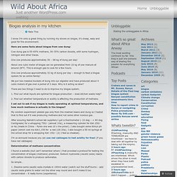 Biogas analysis in my kitchen « Wild About Africa