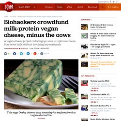 Biohackers crowdfund milk-protein vegan cheese, minus the cows