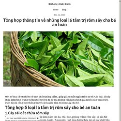 Tổng hợp thông tin về những loại lá tắm trị rôm sảy cho bé an toàn - biohoneybabybalm.simplesite.com