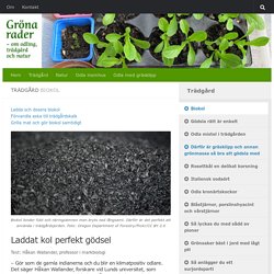 Biokol - Gröna rader