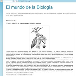 El mundo de la Biologìa: Sustancias tóxicas presentes en algunas plantas