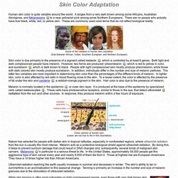 Human Biological Adaptability: Skin Color as an Adaptation