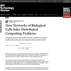 How Networks Of Biological Cells Solve Distributed Computing Problems