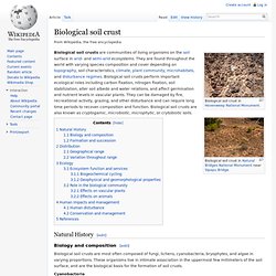 Cryptobiotic soil