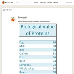 What is a Protein’s Biological Value and Why is it Important?