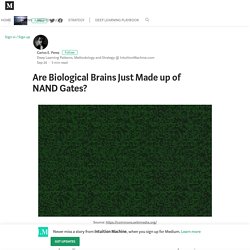Are Biological Brains Just Made up of NAND Gates? – Intuition Machine – Medium
