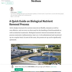 A Quick Guide on Biological Nutrient Removal Process